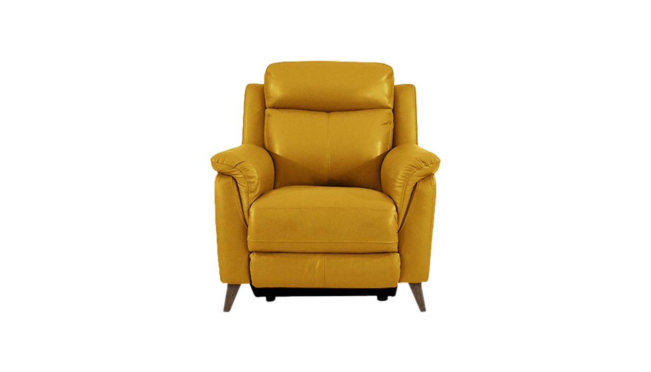 Sienna Armchair Power Recliner with Power Headrest in Leather
