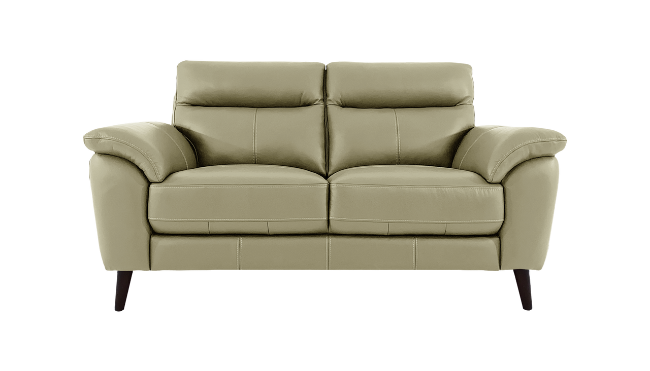 Jayley 2 Seater Leather Sofa