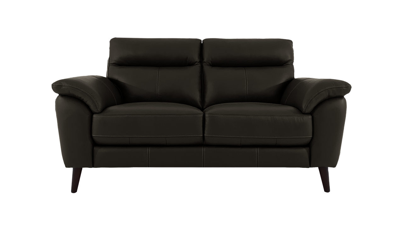 Jayley 2 Seater Leather Sofa