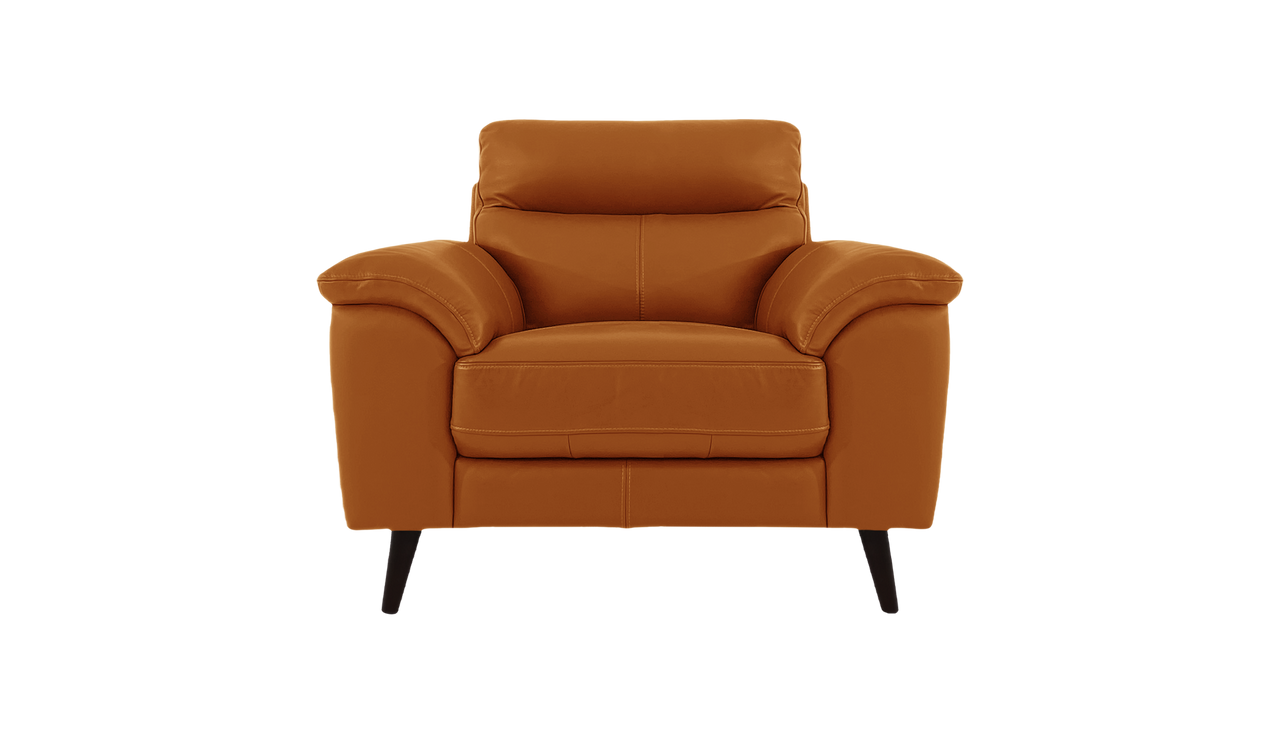 Jayley Leather Armchair With Storage