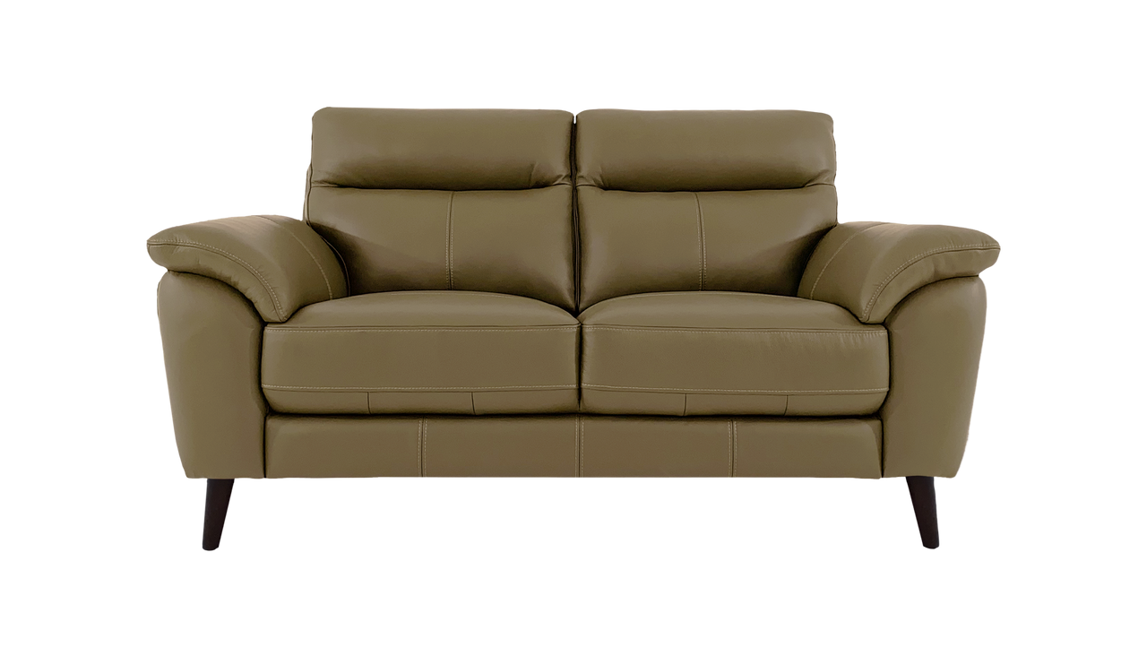 Jayley 2 Seater Leather Sofa