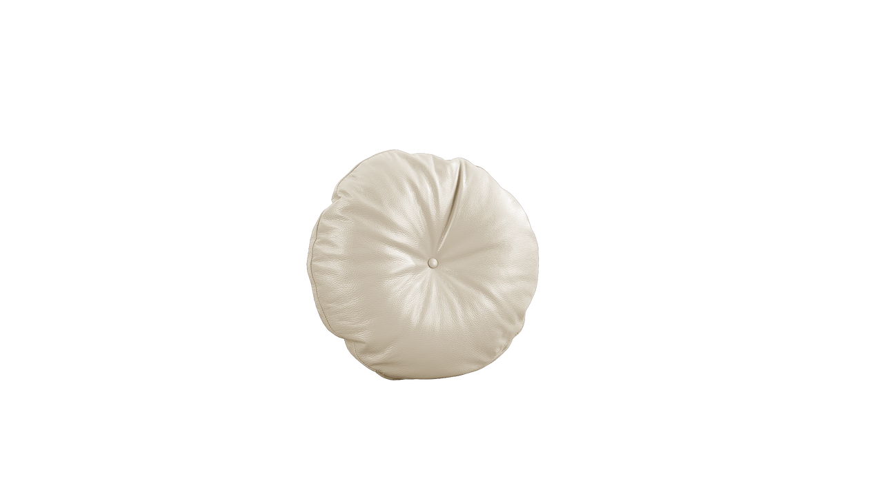 Daisy Round Scatter Cushion